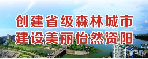 大棒棒操小阴蒂创建省级森林城市 建设美丽怡然资阳